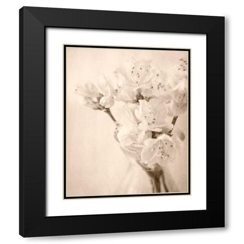 Azalea II Black Modern Wood Framed Art Print with Double Matting by Stalus, Judy