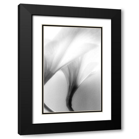 Jeavenly Black Modern Wood Framed Art Print with Double Matting by Stalus, Judy