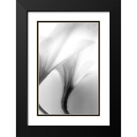 Jeavenly Black Modern Wood Framed Art Print with Double Matting by Stalus, Judy