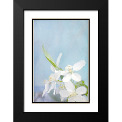 Blue Sky Black Modern Wood Framed Art Print with Double Matting by Stalus, Judy