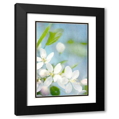 Spring Time Black Modern Wood Framed Art Print with Double Matting by Stalus, Judy