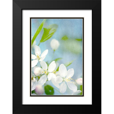 Spring Time Black Modern Wood Framed Art Print with Double Matting by Stalus, Judy