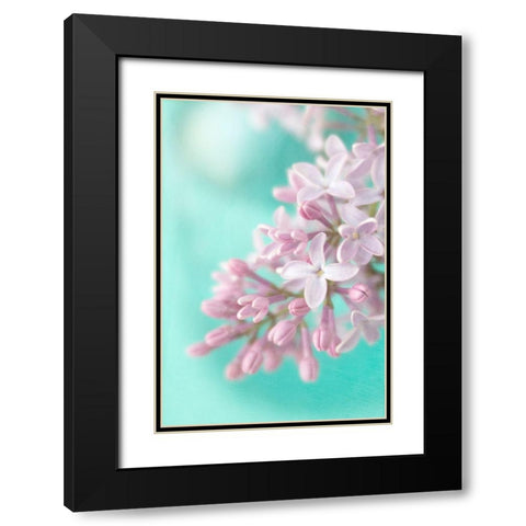 Lilac Black Modern Wood Framed Art Print with Double Matting by Stalus, Judy