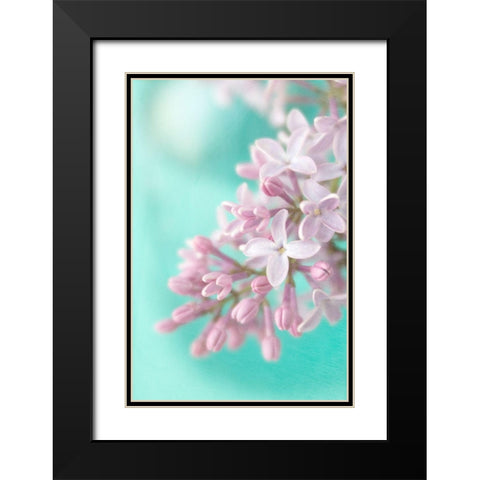 Lilac Black Modern Wood Framed Art Print with Double Matting by Stalus, Judy