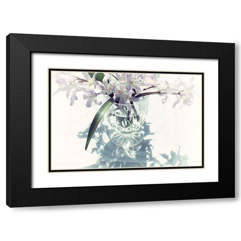 Shadow Black Modern Wood Framed Art Print with Double Matting by Stalus, Judy