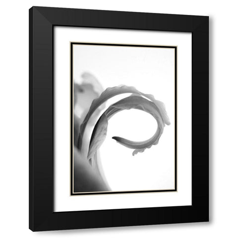 Wave Black Modern Wood Framed Art Print with Double Matting by Stalus, Judy