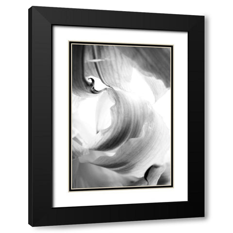 Breaker Black Modern Wood Framed Art Print with Double Matting by Stalus, Judy