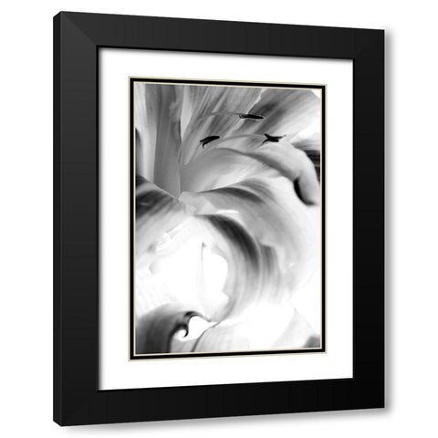 Explosion Black Modern Wood Framed Art Print with Double Matting by Stalus, Judy