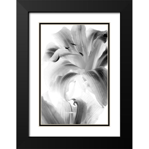 Burst Black Modern Wood Framed Art Print with Double Matting by Stalus, Judy