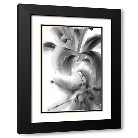 Fire Works Black Modern Wood Framed Art Print with Double Matting by Stalus, Judy