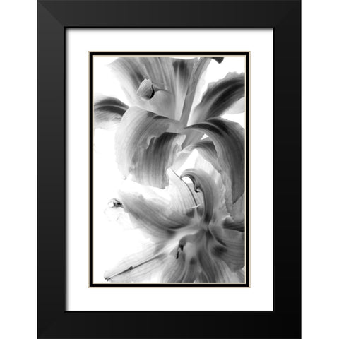 Fire Works Black Modern Wood Framed Art Print with Double Matting by Stalus, Judy