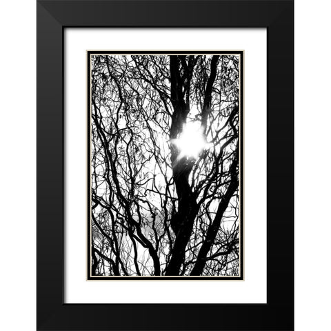 Break Through Black Modern Wood Framed Art Print with Double Matting by Stalus, Judy