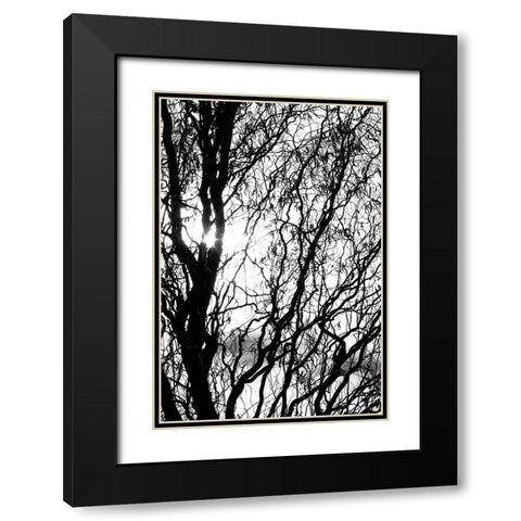 Miracle Black Modern Wood Framed Art Print with Double Matting by Stalus, Judy
