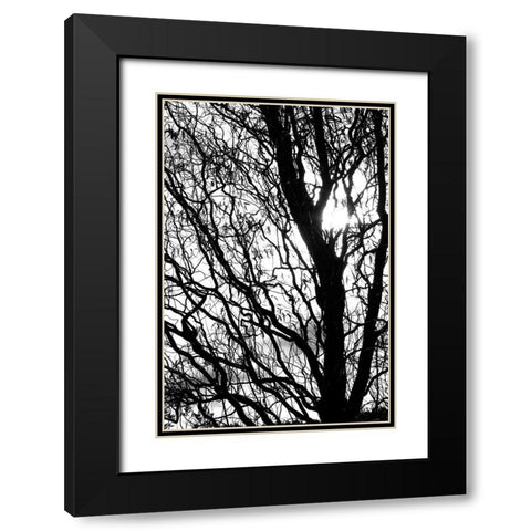 remember Black Modern Wood Framed Art Print with Double Matting by Stalus, Judy