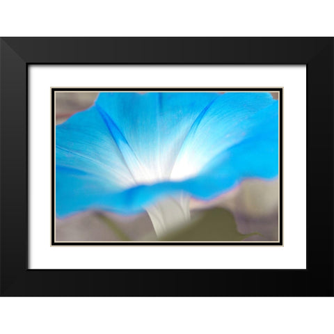 blue Black Modern Wood Framed Art Print with Double Matting by Stalus, Judy