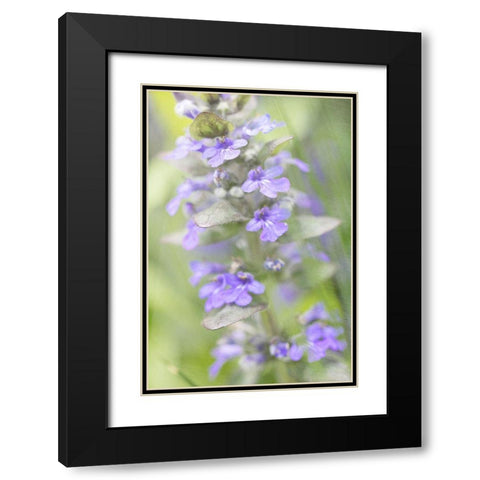 Blue Day Black Modern Wood Framed Art Print with Double Matting by Stalus, Judy