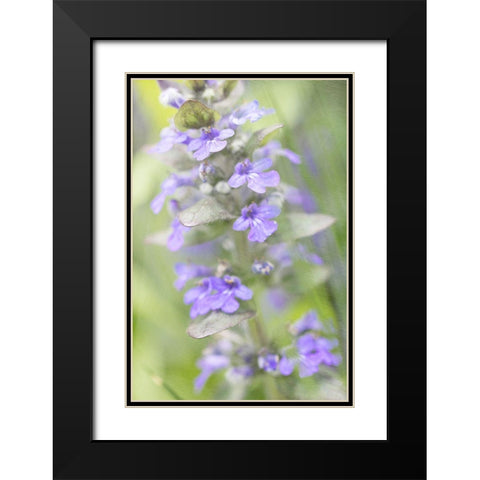 Blue Day Black Modern Wood Framed Art Print with Double Matting by Stalus, Judy