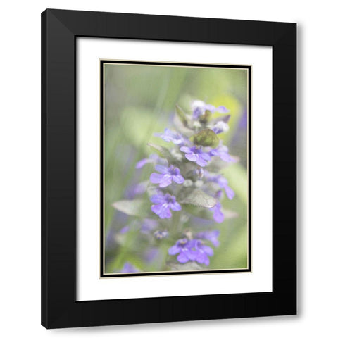 Blue Morning Black Modern Wood Framed Art Print with Double Matting by Stalus, Judy