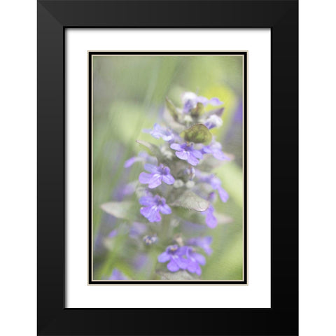 Blue Morning Black Modern Wood Framed Art Print with Double Matting by Stalus, Judy