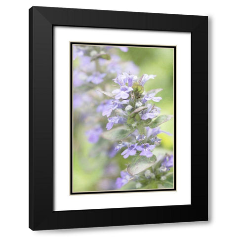 Blue Light Black Modern Wood Framed Art Print with Double Matting by Stalus, Judy