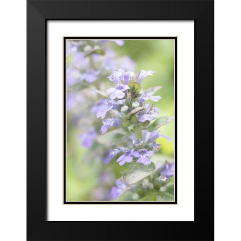 Blue Light Black Modern Wood Framed Art Print with Double Matting by Stalus, Judy