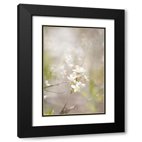 Mystery Black Modern Wood Framed Art Print with Double Matting by Stalus, Judy