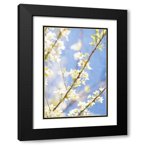 Blue Sky Black Modern Wood Framed Art Print with Double Matting by Stalus, Judy
