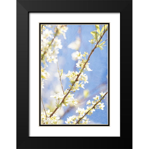 Blue Sky Black Modern Wood Framed Art Print with Double Matting by Stalus, Judy