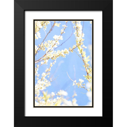 Blue Day Black Modern Wood Framed Art Print with Double Matting by Stalus, Judy