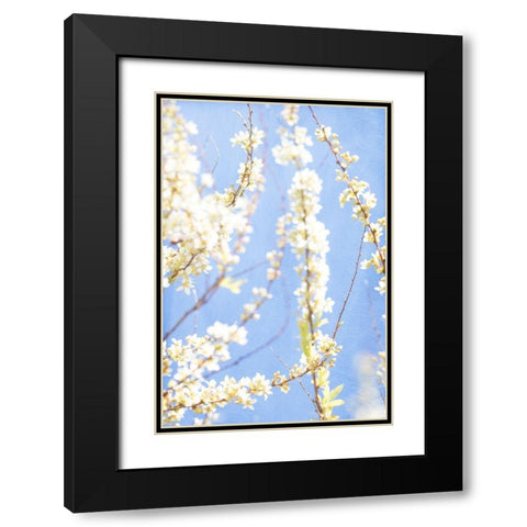 Blue Morning Black Modern Wood Framed Art Print with Double Matting by Stalus, Judy