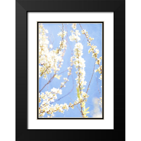 Blue Morning Black Modern Wood Framed Art Print with Double Matting by Stalus, Judy