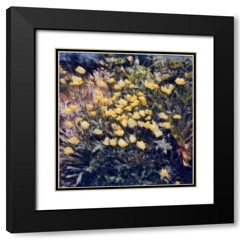 Buttercups Black Modern Wood Framed Art Print with Double Matting by Stalus, Judy