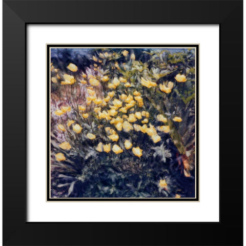 Buttercups Black Modern Wood Framed Art Print with Double Matting by Stalus, Judy