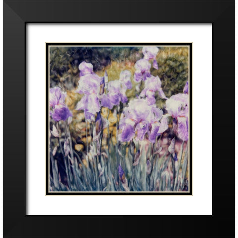 Iris Garden Black Modern Wood Framed Art Print with Double Matting by Stalus, Judy