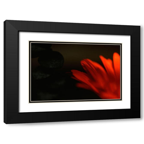Flame Black Modern Wood Framed Art Print with Double Matting by Stalus, Judy