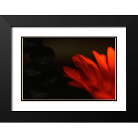 Flame Black Modern Wood Framed Art Print with Double Matting by Stalus, Judy