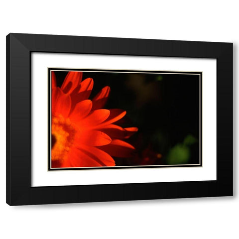 Red Sun Black Modern Wood Framed Art Print with Double Matting by Stalus, Judy