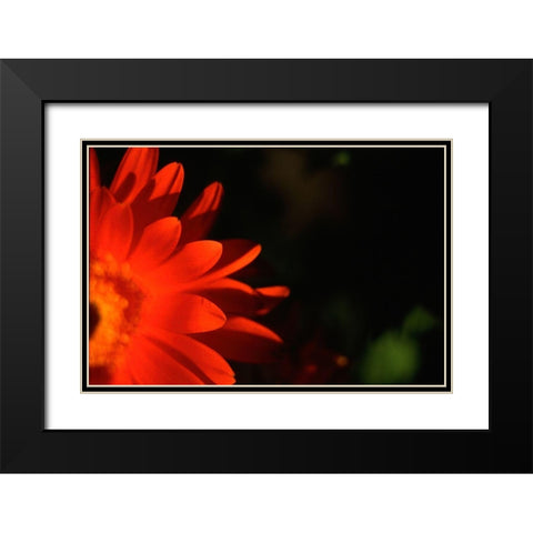 Red Sun Black Modern Wood Framed Art Print with Double Matting by Stalus, Judy