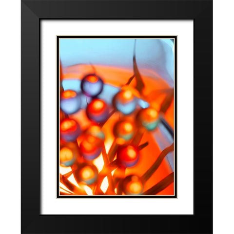 Ice Flower II Black Modern Wood Framed Art Print with Double Matting by Surma And Guillen