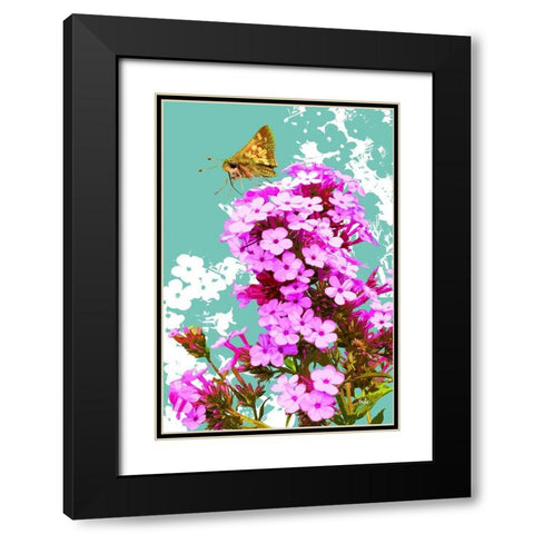 Skipper on Flox Black Modern Wood Framed Art Print with Double Matting by Evalia Designs
