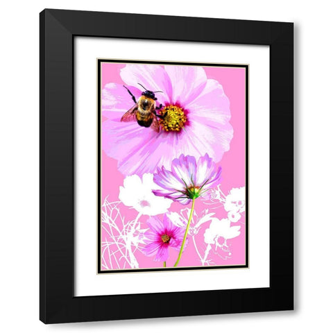 Bee on Cosmos Black Modern Wood Framed Art Print with Double Matting by Evalia Designs