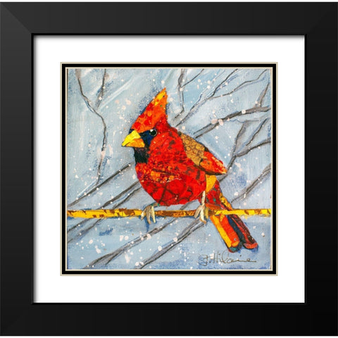Winter Cardinal Male Black Modern Wood Framed Art Print with Double Matting by St Hilaire, Elizabeth