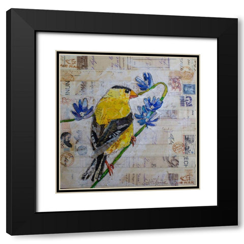 Gold Finch US Mail Black Modern Wood Framed Art Print with Double Matting by St Hilaire, Elizabeth