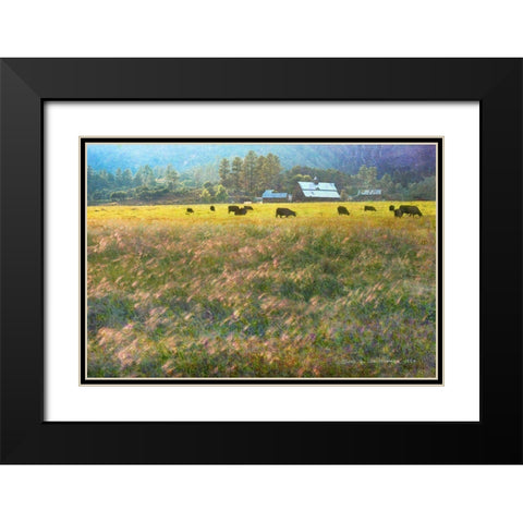 Barn and Foxtail Cherry Creek Black Modern Wood Framed Art Print with Double Matting by Vest, Christopher