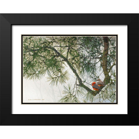Vermillion Flycatchers on Crooked Branch Black Modern Wood Framed Art Print with Double Matting by Vest, Christopher