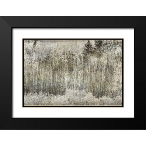 Aspen Willow leaves Abstract Black Modern Wood Framed Art Print with Double Matting by Vest, Christopher