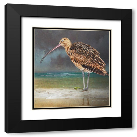 Blissful Curlew Black Modern Wood Framed Art Print with Double Matting by Vest, Christopher
