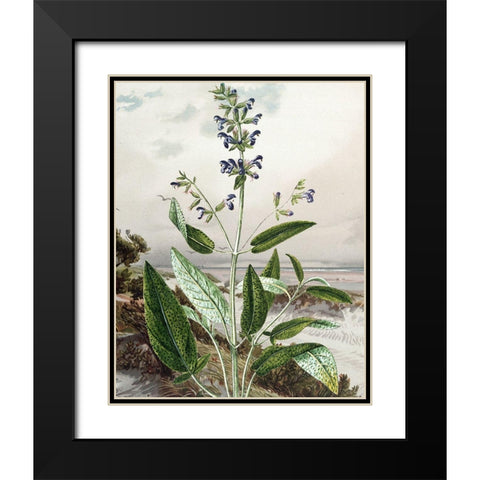 Wild Shoot IV Black Modern Wood Framed Art Print with Double Matting by Smith, Karen