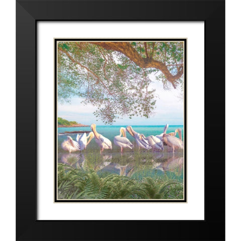 Coastal Plumage Black Modern Wood Framed Art Print with Double Matting by Hunziker, Steve