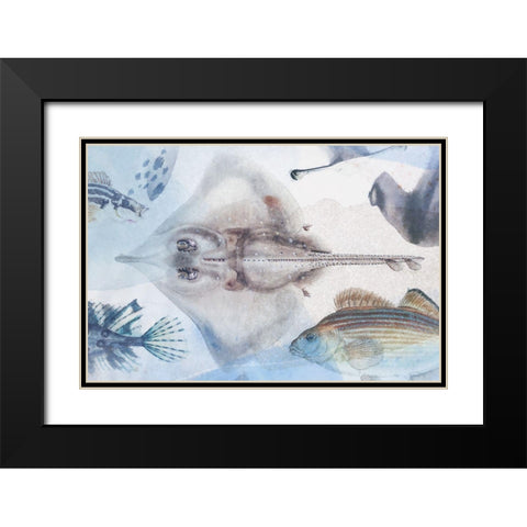 Deep Sea IV Black Modern Wood Framed Art Print with Double Matting by Hunziker, Steve